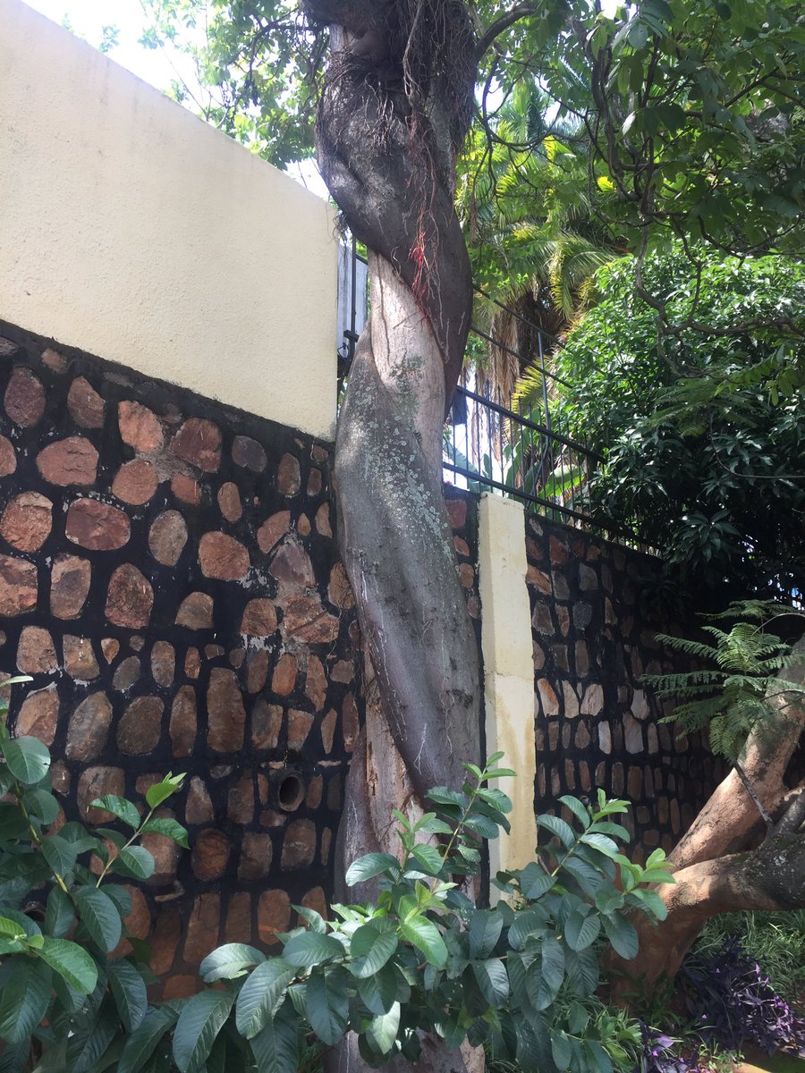 The power of Nature 👌