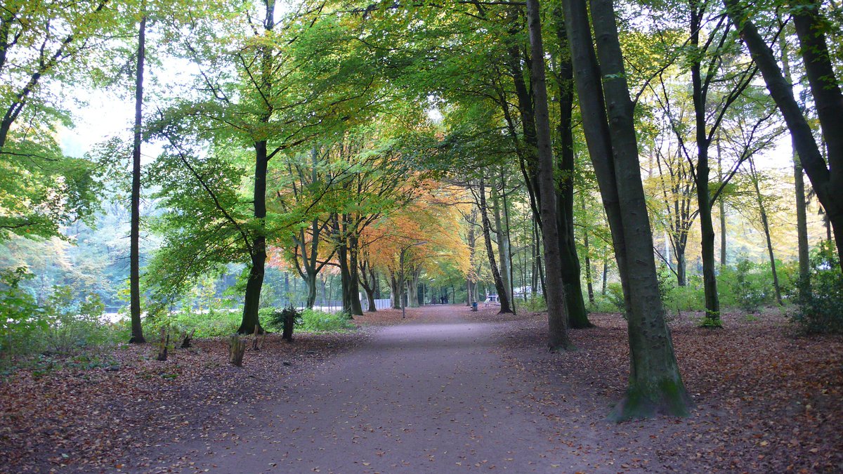 Guten Morgen aus Bergisch Gladbach und Köln.
Euch allen einen schönen Sonntag und dritten Advent.
#Herbst #GL1 #Advent #Köln