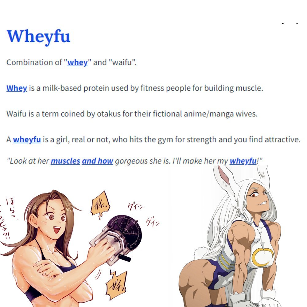 Anime Muscle Girls tweet media