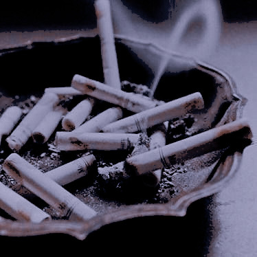 So next time you address yourself to me, remind your little brain that I’m no princess, alright? I’m a motherfucking king . So bow the fuck down.

Stoneview Stories | RP21+ | Adult content | Dark/triggering themes | SLs/banter