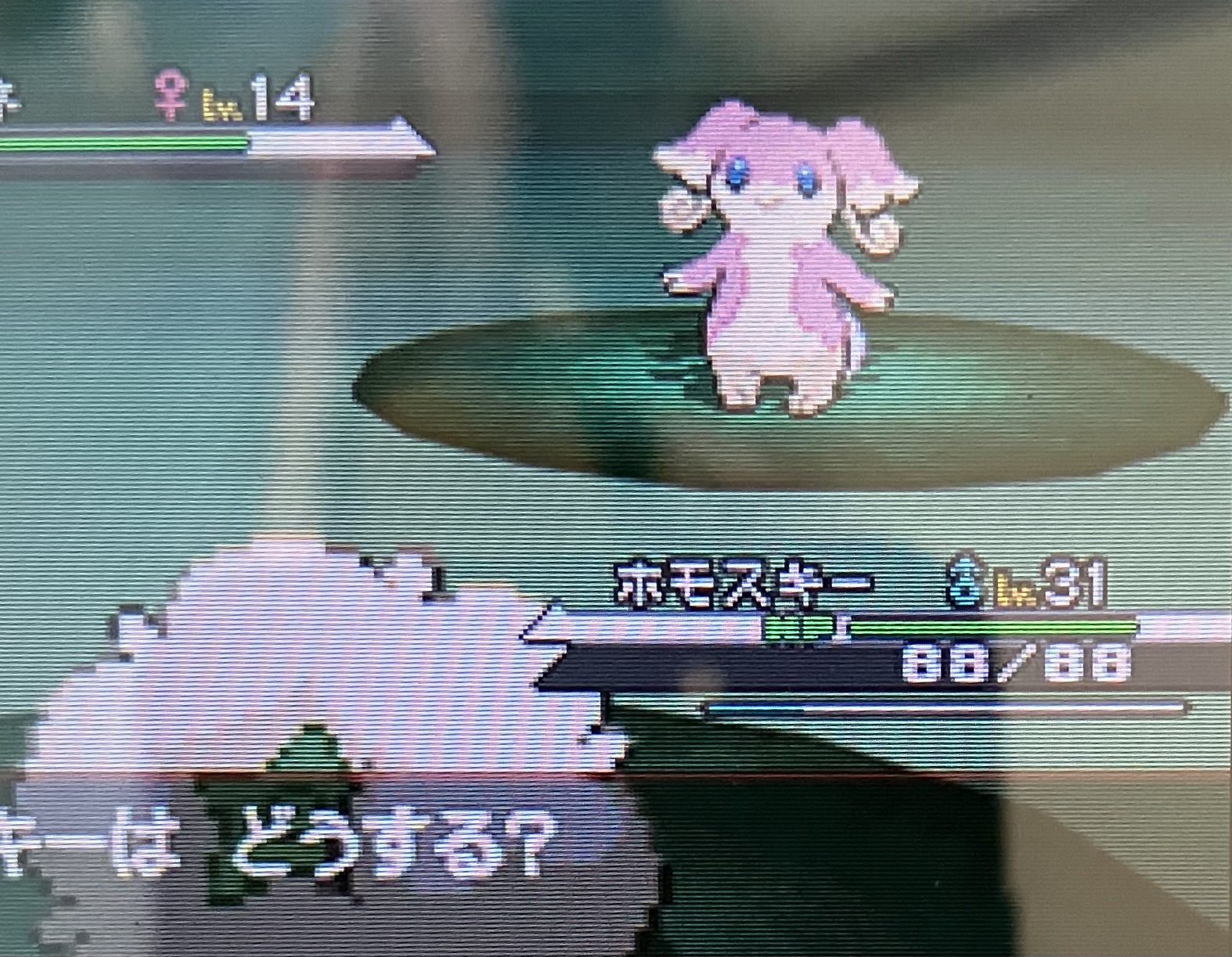 重複亭 再度 R5h5mhdp3r0subr Twitter