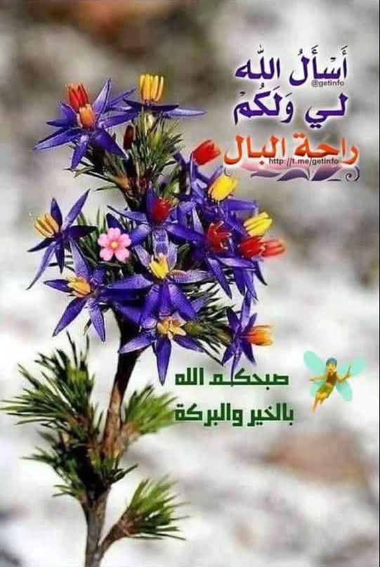 RaniailG's tweet photo. @Yeimy543 @Maria35702954 https://t.co/KYfsziYpeU