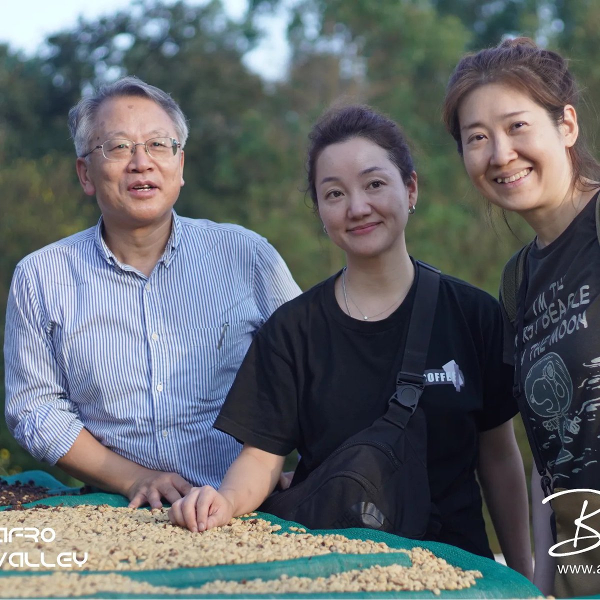 bunakoodao's tweet photo. Our guests enjoying the organic coffee processing  in  Gera ,  Jimma Area Coffee farm. We are glad to share that the tour experience enable buyers  to involve  in the entire value chain.
#coffeetour #cobean #ethiopia #BunakooTour 
#coffeelover #jimma #oremiatata https://t.co/pfYfO8RDnn