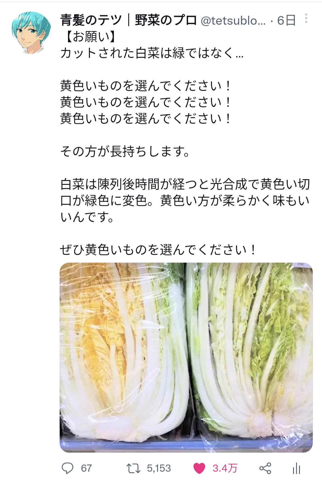 復習！この野菜があったら絶対に買うべき4選‼