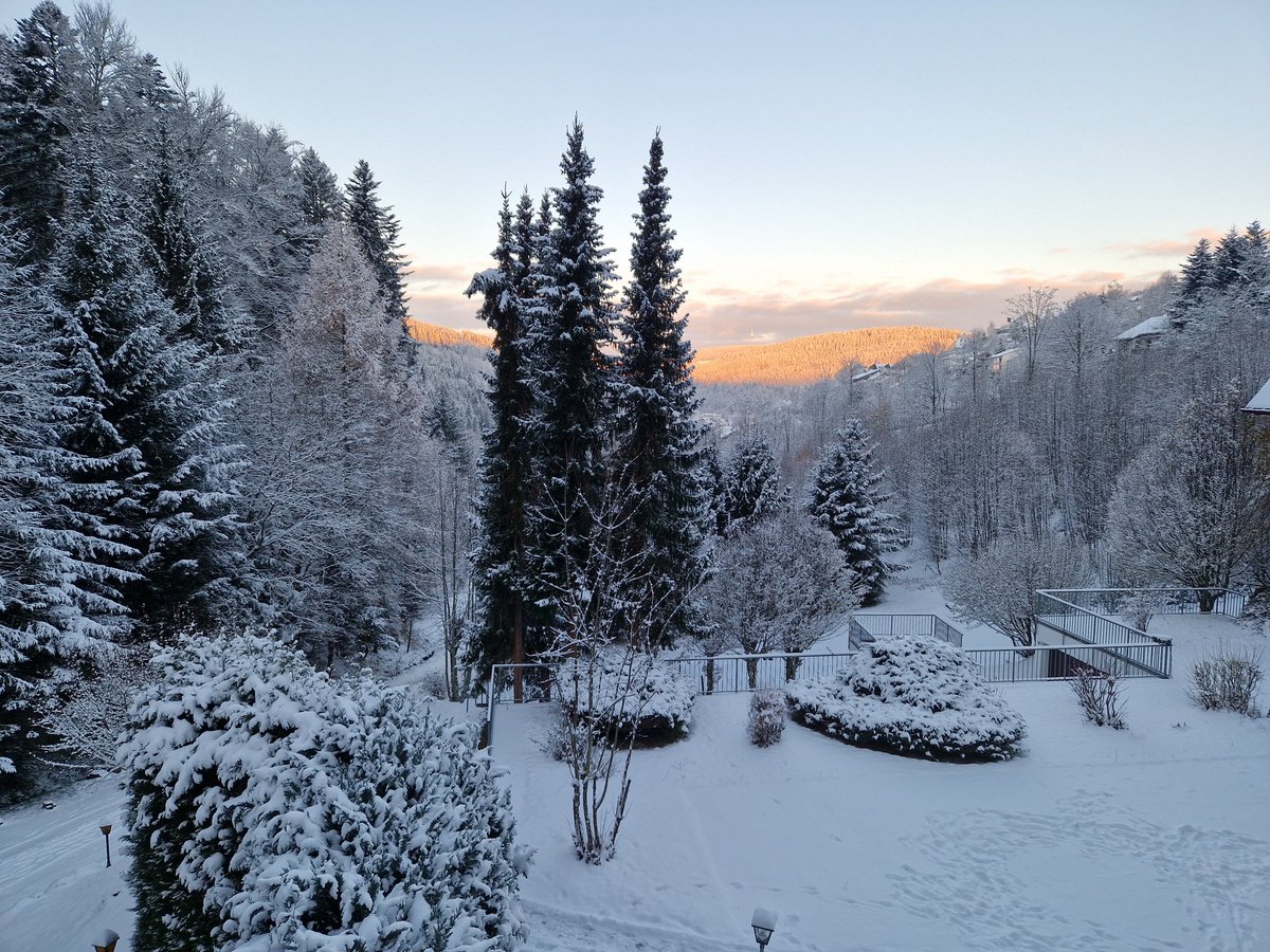 FewoTriberg's tweet photo. Guten Morgen liebe Twitterfreunde! Ich wünsche einen wunderschönen Sonntag mit viel Seelennahrung https://t.co/sxcRMLkLIq