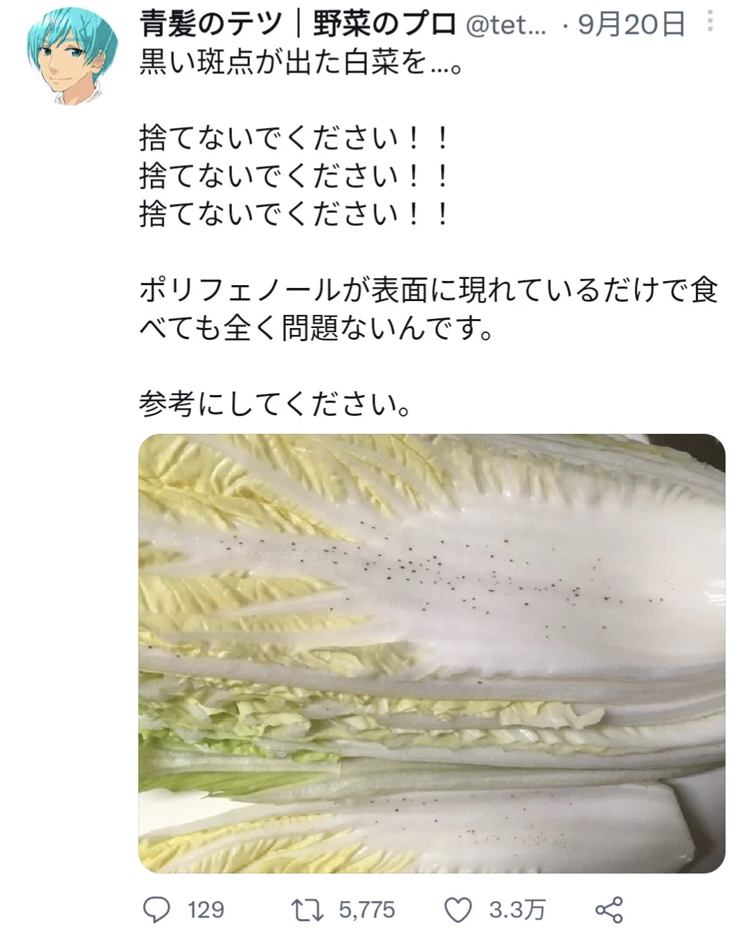 復習！この野菜があったら絶対に買うべき4選‼