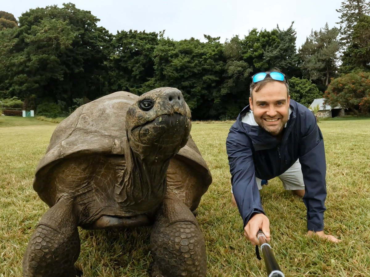 cemfle's tweet photo. Just back from St Helena, my favourite part? Obviously meeting Jonathan the tortoise! Missed his 190th celebrations by one day. Many thanks to @sthelenampa for being so great at helping arrange our activities and driving us around! https://t.co/tnrmy13rxi