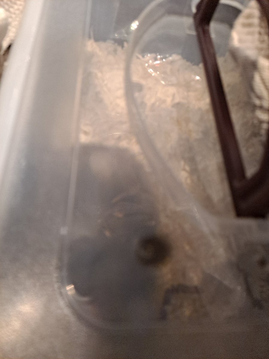 므ㅓ야이거 찍힌거야만거야