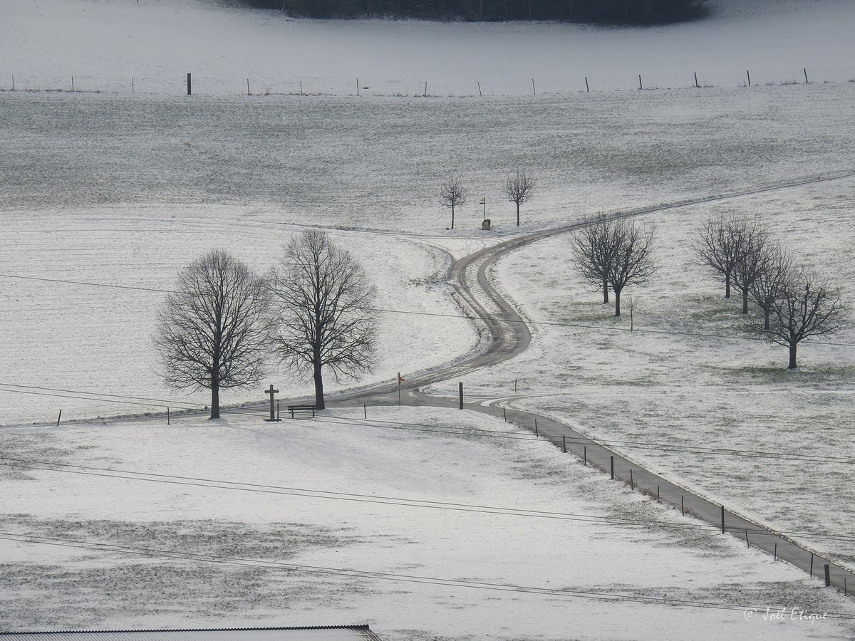 joeletique's tweet photo. en blanc #vicques #valdorée #jura3lacs #myswitzerland #jurarando #swissrando #paysage #nature https://t.co/HPCW5sNK5g