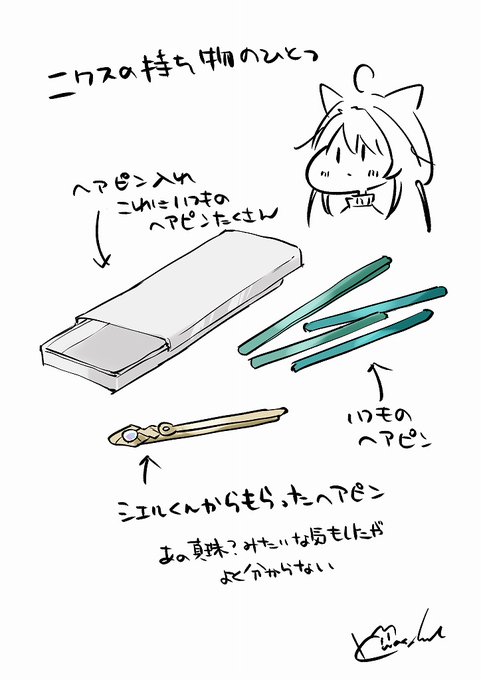ニクスが一番活用するアイテムって多分なんだかんだヘアピンなんだよな‥髪がね、普段はいいんだけど講義や研究中はちょっと邪魔なんだよね( ˘ω˘ ) 