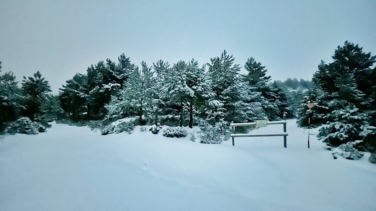 kaikuland's tweet photo. Buenos días.
Carreteras limpias pero se recomienda ir con cuidado. 
Ha nevado por la noche acumulando hasta 11cm en zonas medias/altas. Después llovizna humedeciendo la nieve en todas las cotas. Mala visibilidad, precaución.@112cmadrid @GeraRescate @PN_Guadarrama https://t.co/IVL6pQDtFX