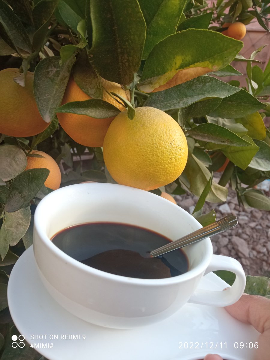 #صباحكم_سعادة