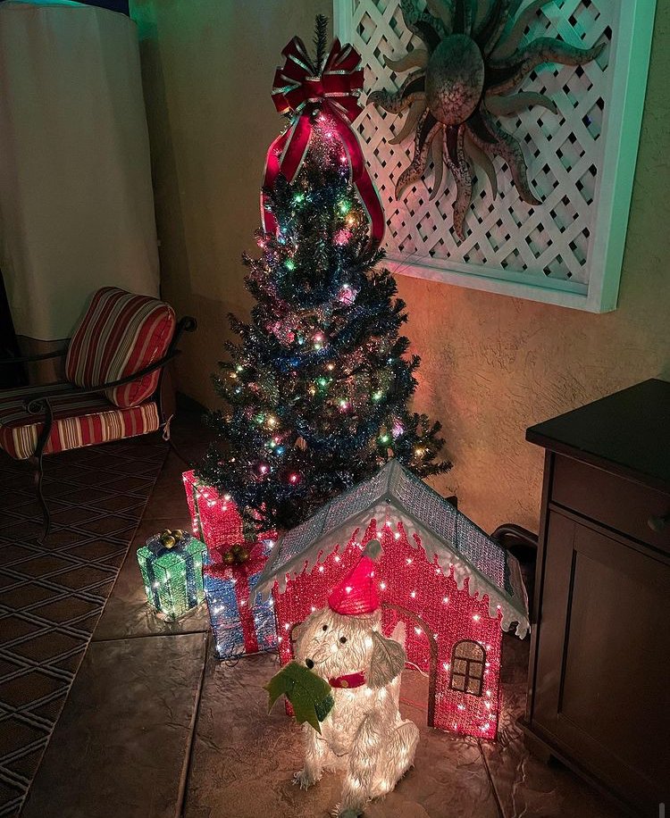 JoshBeazley2's tweet photo. 🎄 https://t.co/vPjpUVj4fq