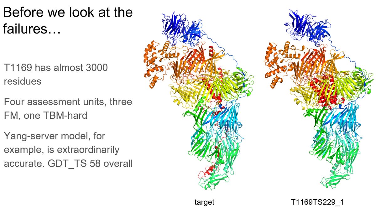 Daniel Rigden tweet media
