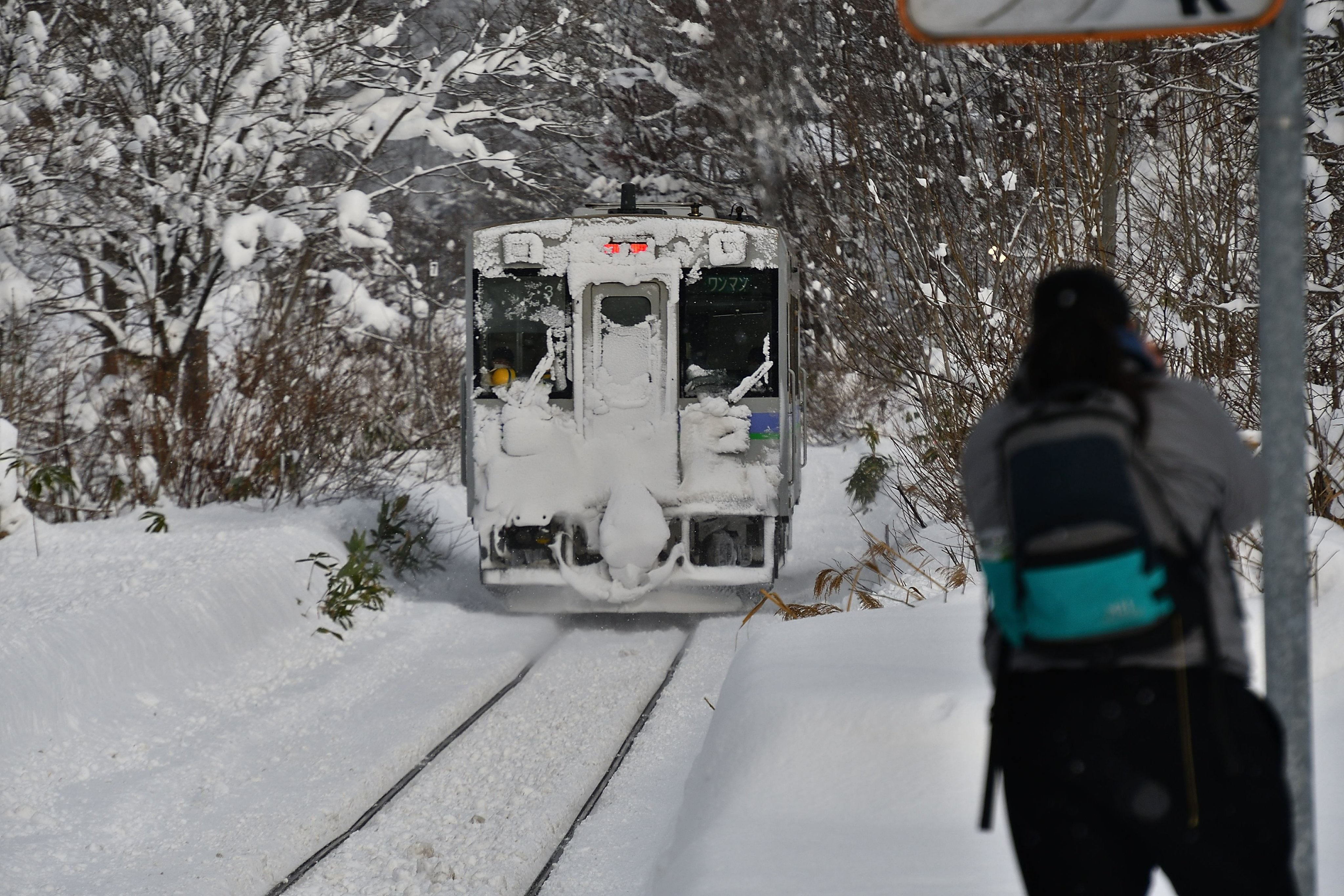 池端 清美 on Twitter 