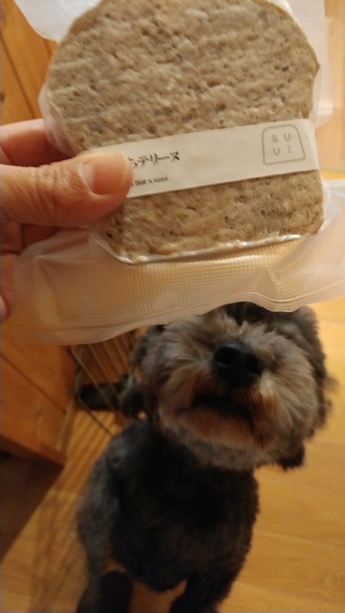 OEWsKDTaHkRwF6l's tweet photo. 母ちゃんがお正月の準備をしたよ!
www
僕がお正月に食べる
おせ��テリーヌ
を調達してきました🍱
今までオンラインショップで手に入れていた #suui さんのテリーヌが
新潟県五泉市の #theknitbar #梅田ニット さんでお取���中♥
お正月まで待てない!
母ちゃんは店内のおしゃれなニットて目の保養♥ https://t.co/9alp0YGwPc