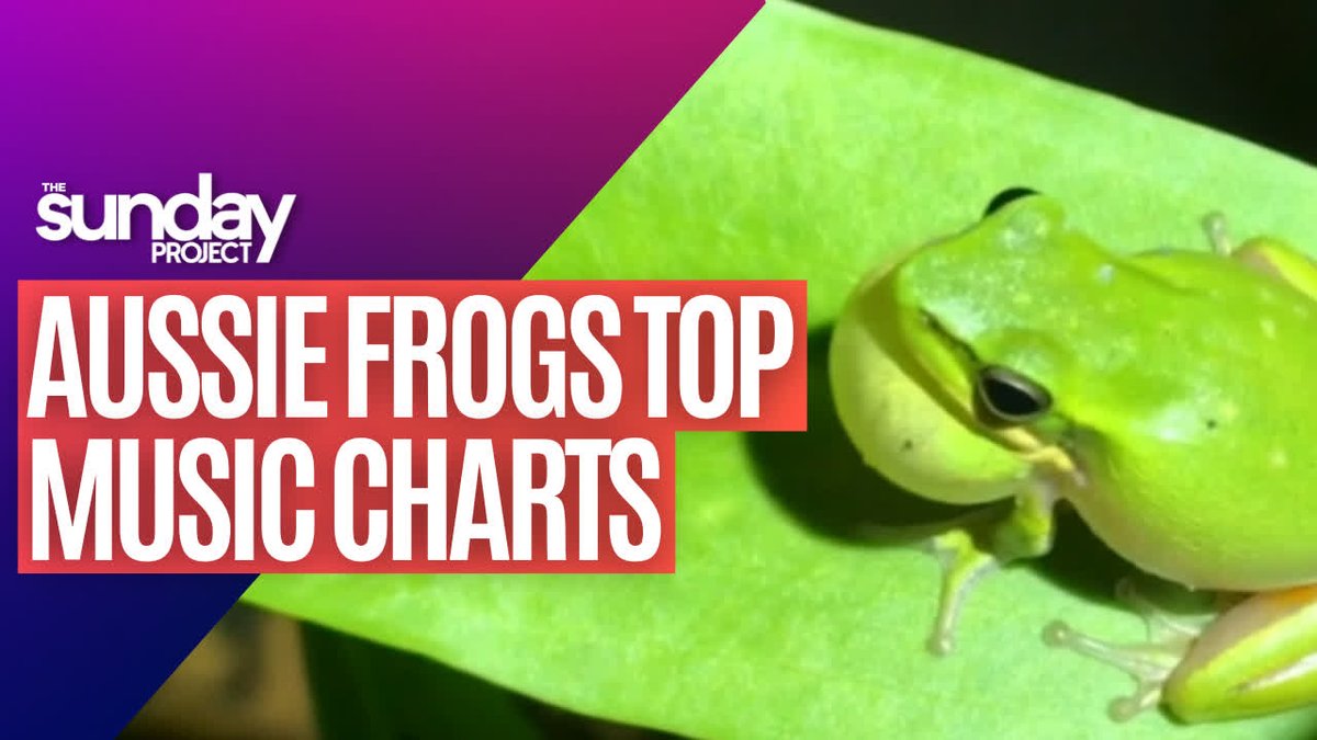 What Sound Does A Frog Make In China What sound does a frog make in china