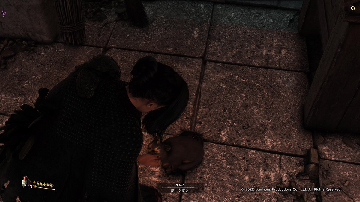 sys_0309's tweet photo. #ForspokenDemo 
ぬこさん、宿まで来てくれるゥ https://t.co/tucWnpak7K