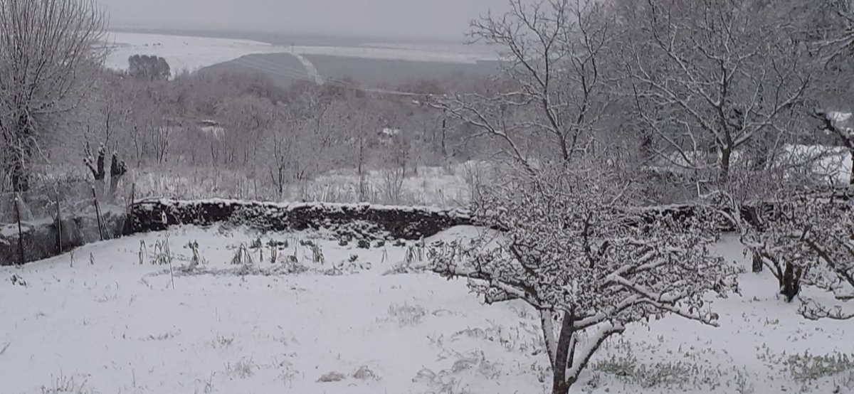 Primera nevada del año en Bustares.