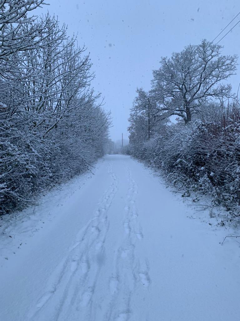 Folks, as beautiful as it is here, with some of the surrounding roads starting to get thick with snow and more forecast, we're going to have to reschedule. 
Please spread the word and we'll be in touch later today with details of the reschedule and options for those entered. 
😢