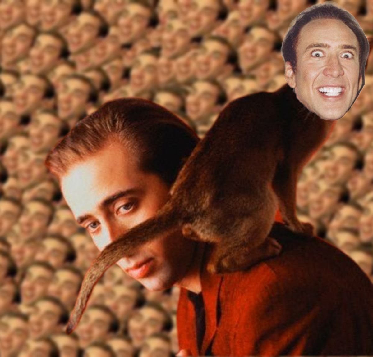 BiglesTheCat's tweet photo. Did another Nicolas Cage head on a cats body Edit https://t.co/2pQ9aBqgM6