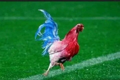 الرگراگي بجاه لميمة نهار الاربعاء بغينا نتعشاوا الرفيسة،ما تنساناش انت الاسود