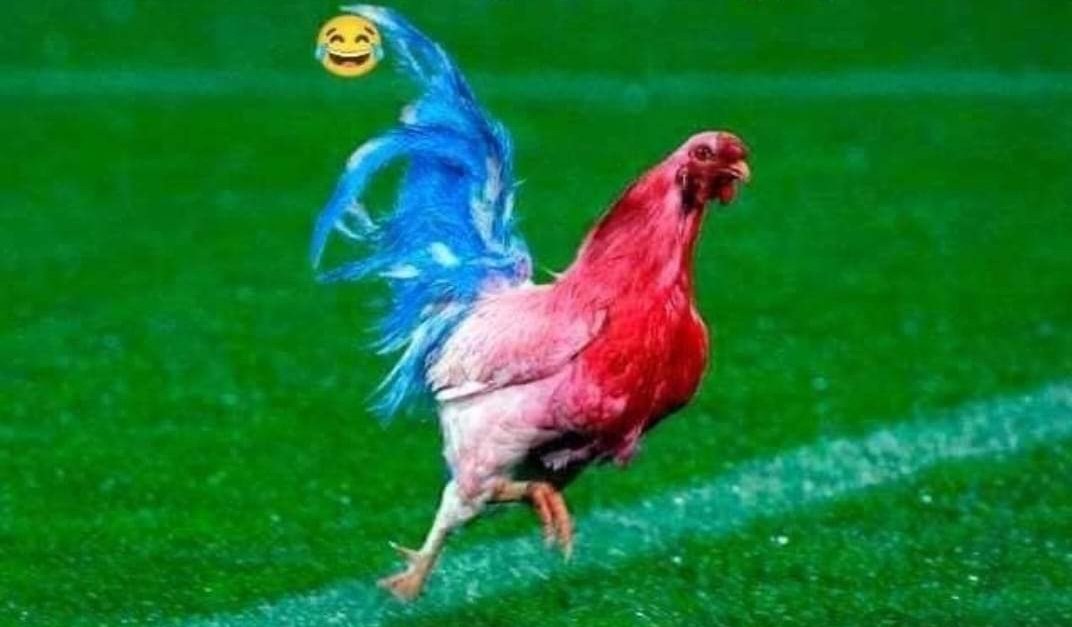meryy_tesla's tweet photo. 😂😂😂🇲🇦💪😋😋😋
#FIFAWorldCup #Maroc_France https://t.co/H0VHCxvEOj