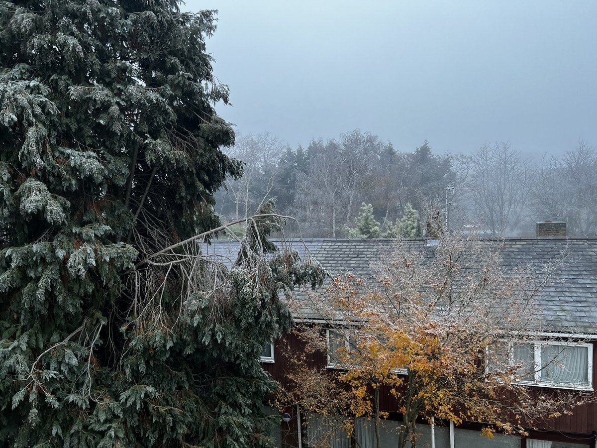 Paul O'Callaghan tweet media