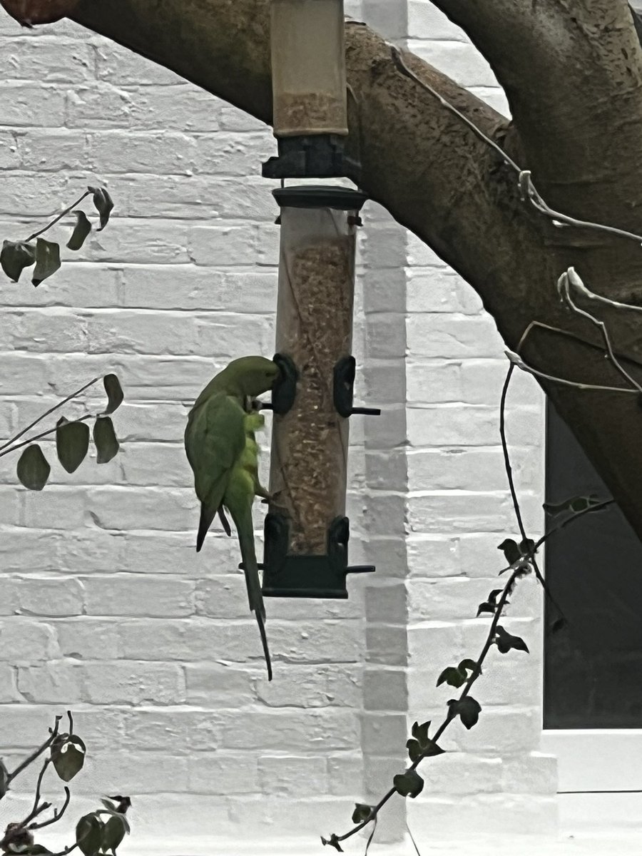 Paul O'Callaghan tweet media