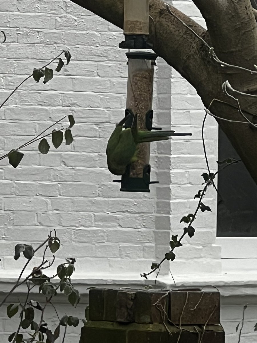 Paul O'Callaghan tweet media