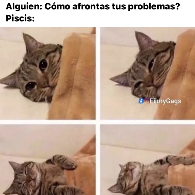 piscis_hn's tweet photo. 🤣🤣🤣 #piscis #horoscoponegro https://t.co/1W6Qyx7fDm