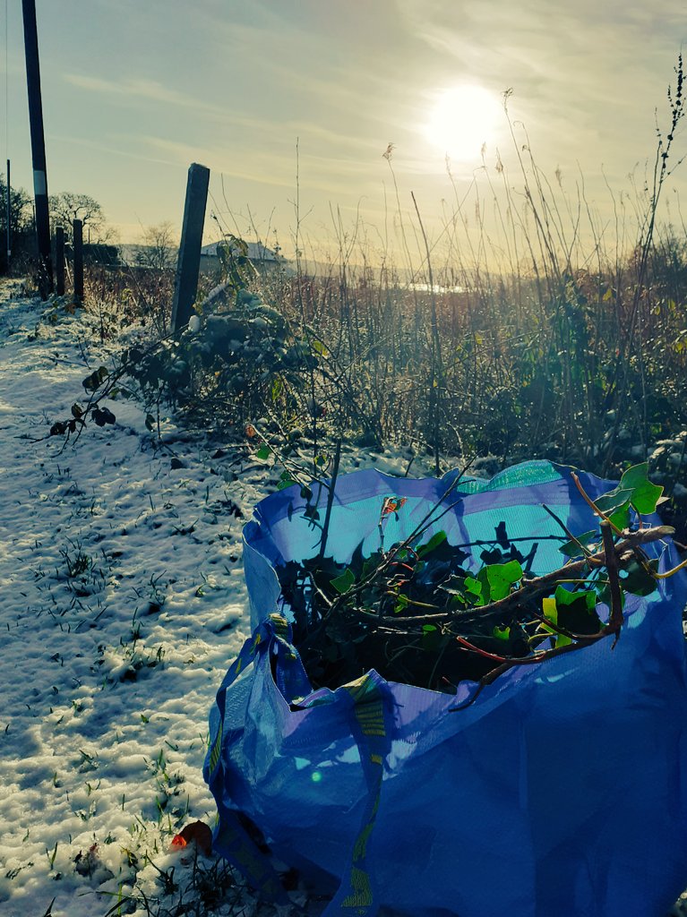 StephScotEd's tweet photo. Collecting some foliage for some #festivewreath making this afternoon, and then attempting it with my class this week. I'm hoping that previous years' tuition from @MAXinfo_Dundee will help me in my first solo wreath effort, photos to follow. #OutdoorLearning 🌲🌳 🧵TBC.... https://t.co/qnckiF27nn