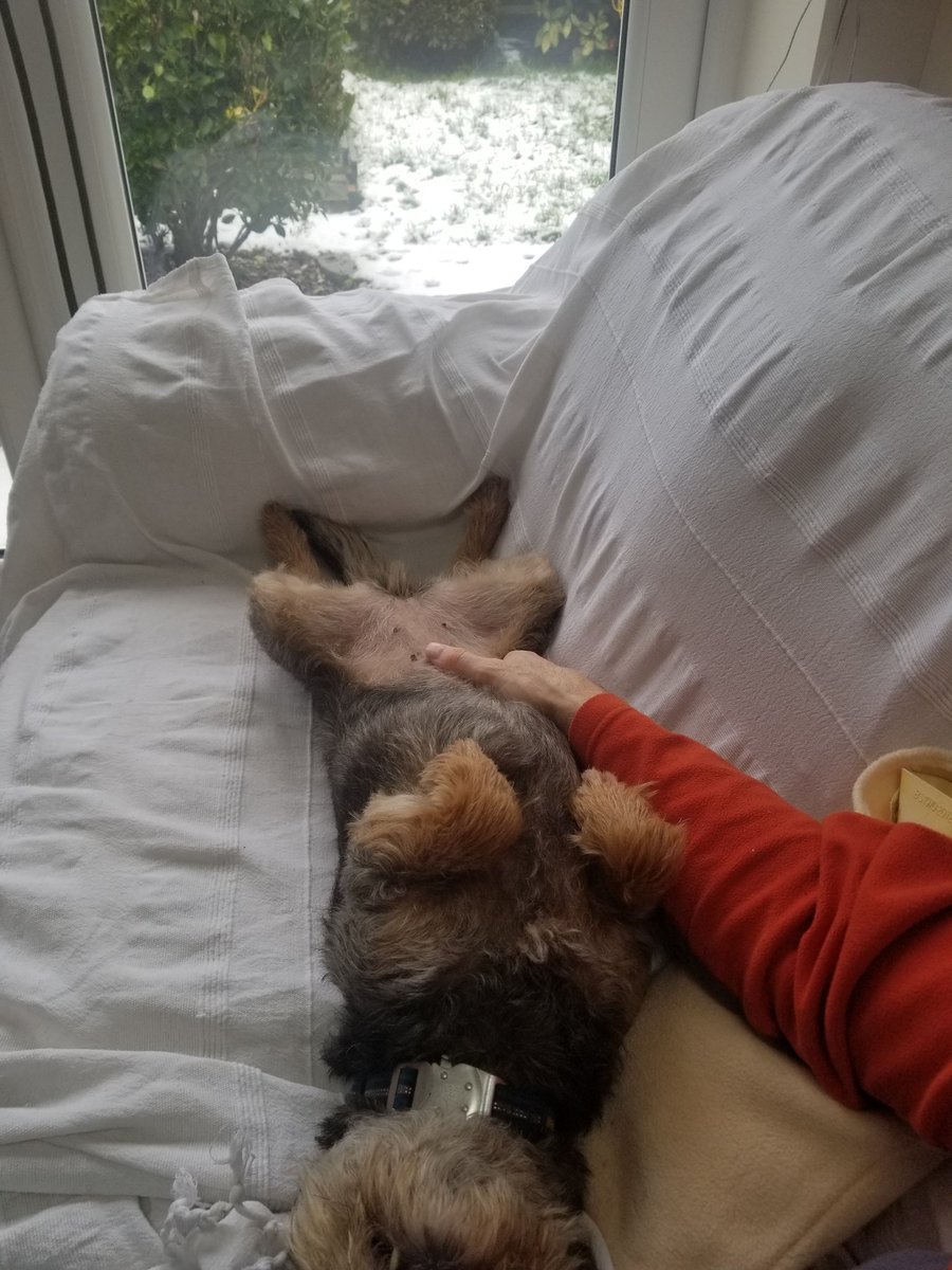 mulberrybt's tweet photo. #bestsundayever #BTposse https://t.co/nrxl9DnB79