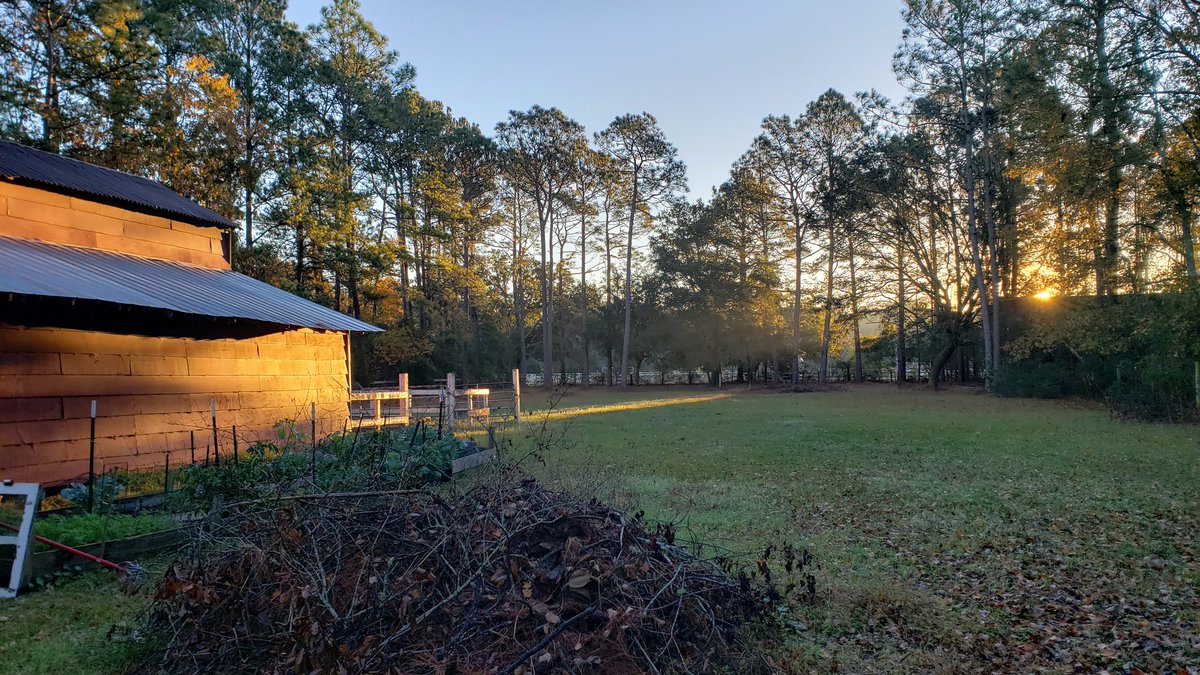 Feed the animals, say a prayer and go for a training run. A great day.