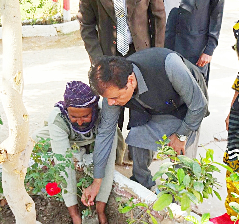 SELD_Sindh's tweet photo. Mr. Ghulam Akbar Laghari Secretary School Education Education &amp; Literacy Department visited @ Directorate of Curriculum Assessment and  Research Sindh Jamshoro &amp; planted tree in DCAR campus. https://t.co/6LiRoRfEHl
