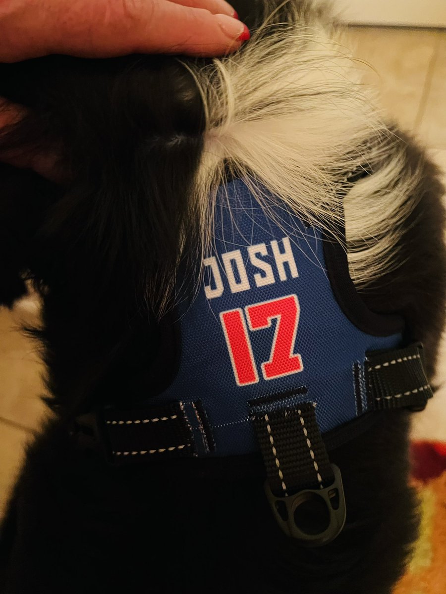 Coffeewhore2's tweet photo. My furball’s collar was bothering him, so I present the mafia mutts harness for my Josh. 💙❤️#billsmafia #mafiamutts #myjosh https://t.co/vsx1UB09Vy