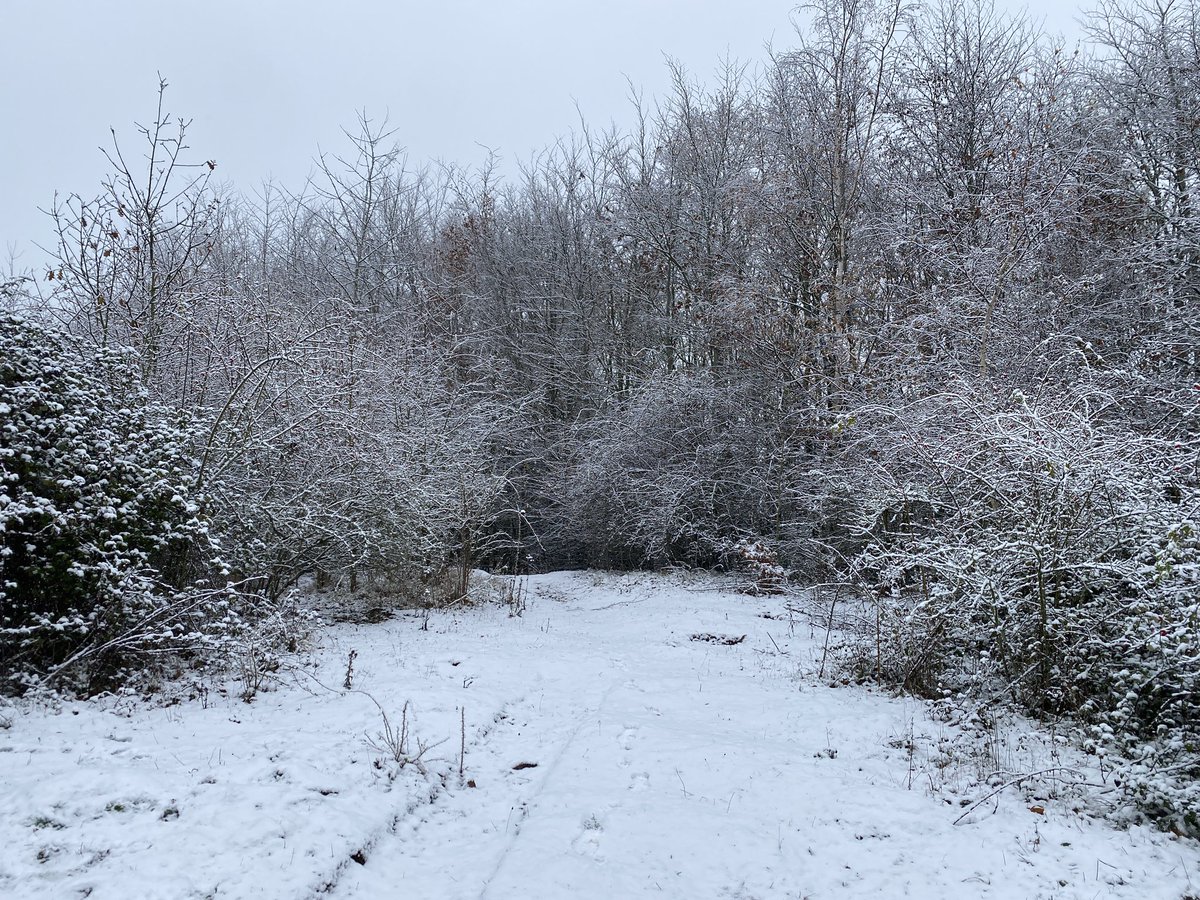 wyevalleywalk's tweet photo. Walks in the snow #snow #walksinthesnow #wyevalley #walks https://t.co/Q7MoNbbXel
