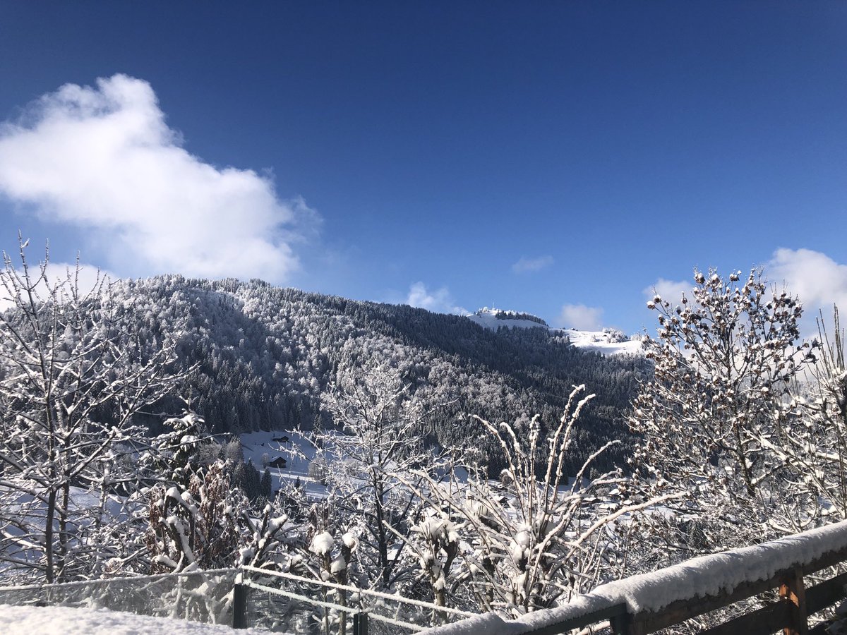 GROUPE PVG tweet media