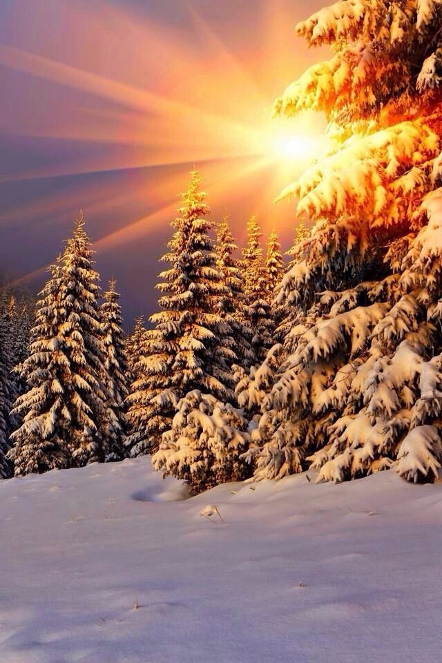 💦Nikita 🌼 tweet media