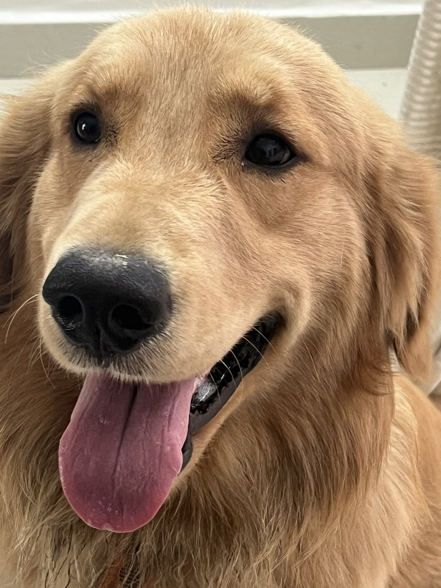 Winter, sunshine , buddy, simbu and Sunday