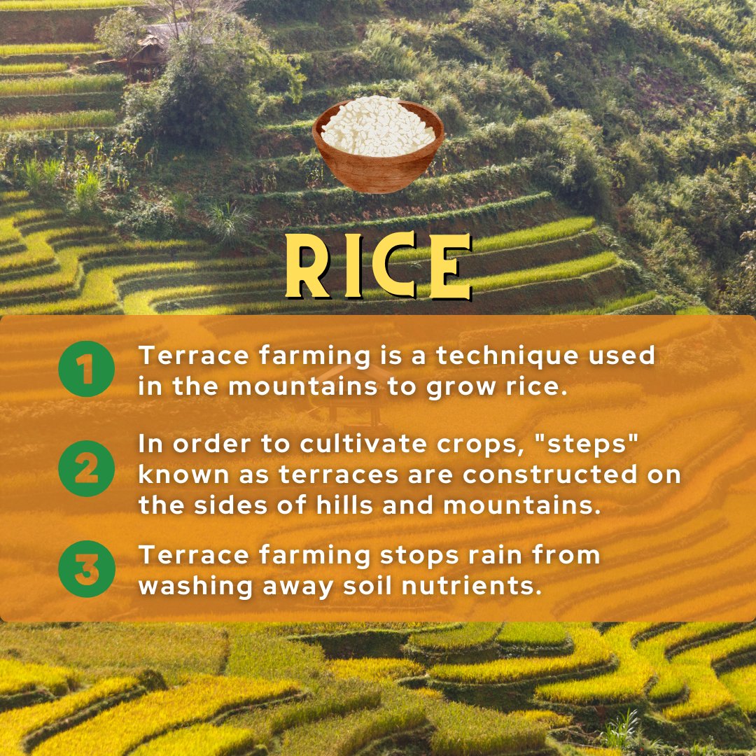 mapmycrop's tweet photo. WORLD MOUNTAIN DAY!
#mountainday #mountain #mountainfarming #agriculture #indianagriculture #usagriculture #farmtech #mapmycrop https://t.co/46fKB51Rlx