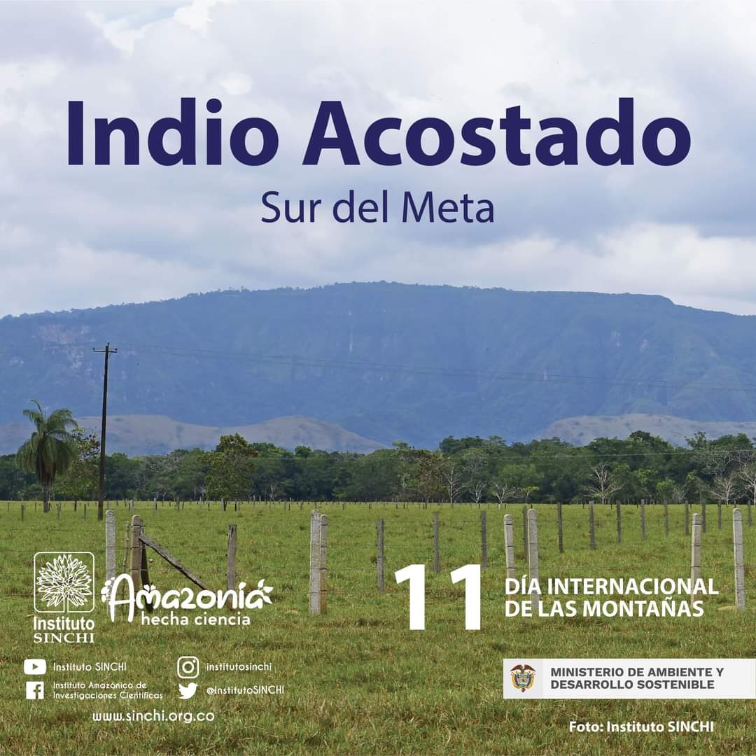 InstitutoSINCHI's tweet photo. #DíaInternacionalDeLasMontañas ¿Sabías que las montañas albergan aproximadamente la mitad de la reserva de diversidad biológica del mundo y el 30% de las zonas clave de biodiversidad? Te invitamos a conocer algunas de las montañas y formaciones rocosas de la #AmazoniaColombiana. https://t.co/ohIkIXfXZC