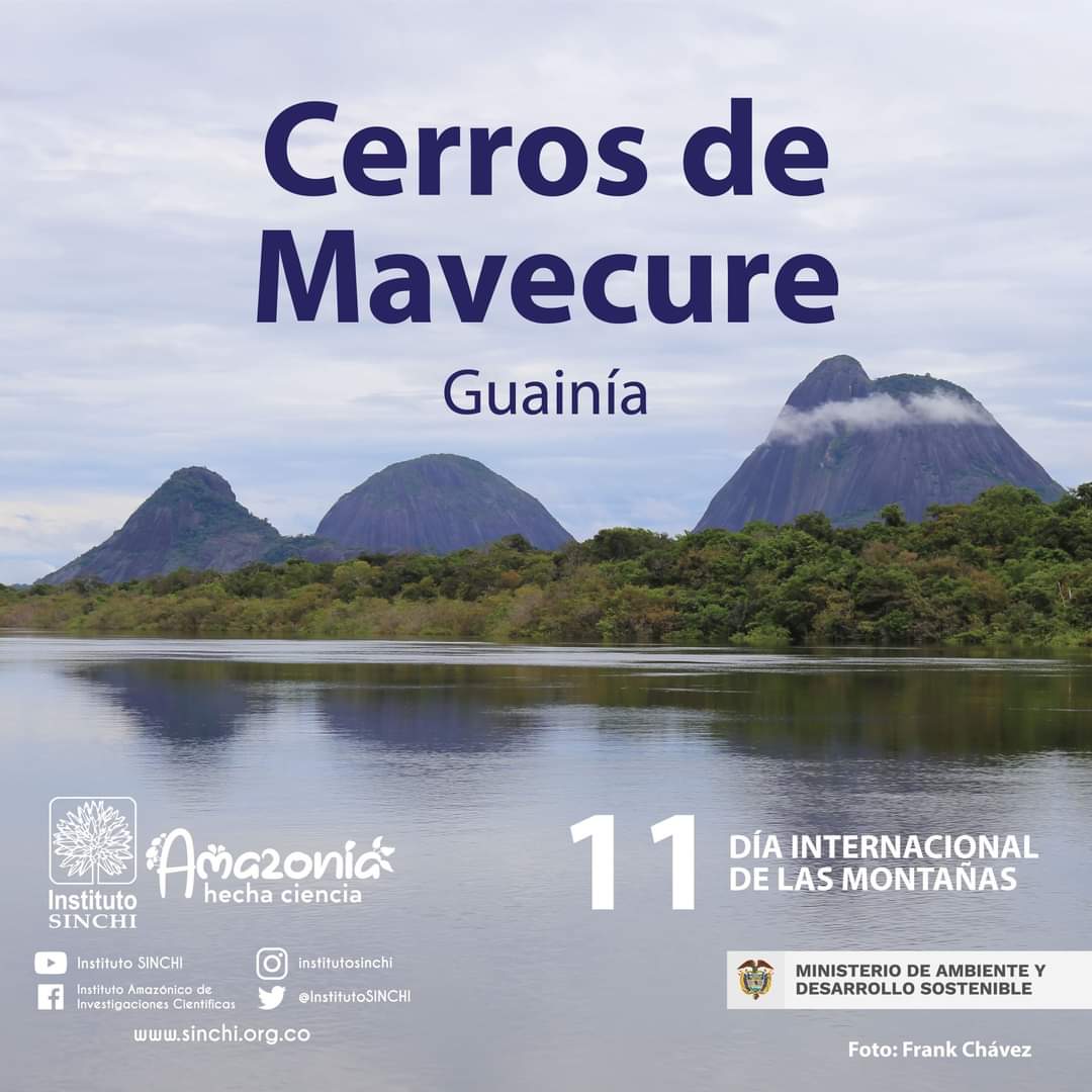 InstitutoSINCHI's tweet photo. #DíaInternacionalDeLasMontañas ¿Sabías que las montañas albergan aproximadamente la mitad de la reserva de diversidad biológica del mundo y el 30% de las zonas clave de biodiversidad? Te invitamos a conocer algunas de las montañas y formaciones rocosas de la #AmazoniaColombiana. https://t.co/ohIkIXfXZC