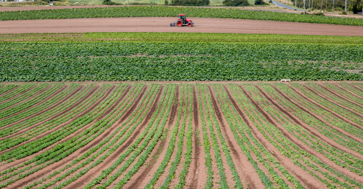 📢 NEW GRADE 8/9 RESOURCE! Discover our newest unit plan - 'Unlocking Agriculture'  - at bcaitc.ca/resources/unlo…. With this resource, students will use the Grow BC GIS map to examine BC commodities and develop skills through investigation, research, and collaboration.