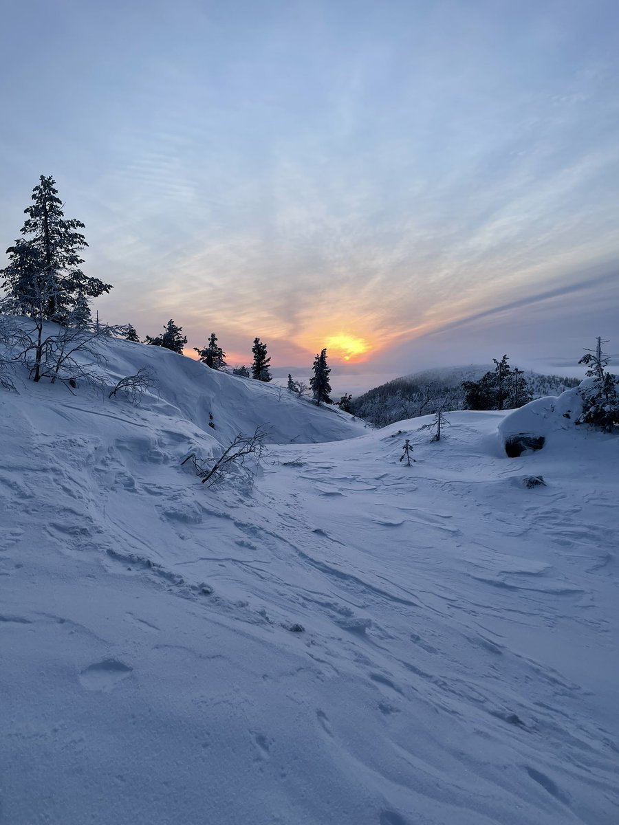 GetmanMoryiskiy's tweet photo. #кандалакша #love #Amazing #photographer #photo #north #Russia #murmansk #kandalaksha https://t.co/dbnwGQvXJh
