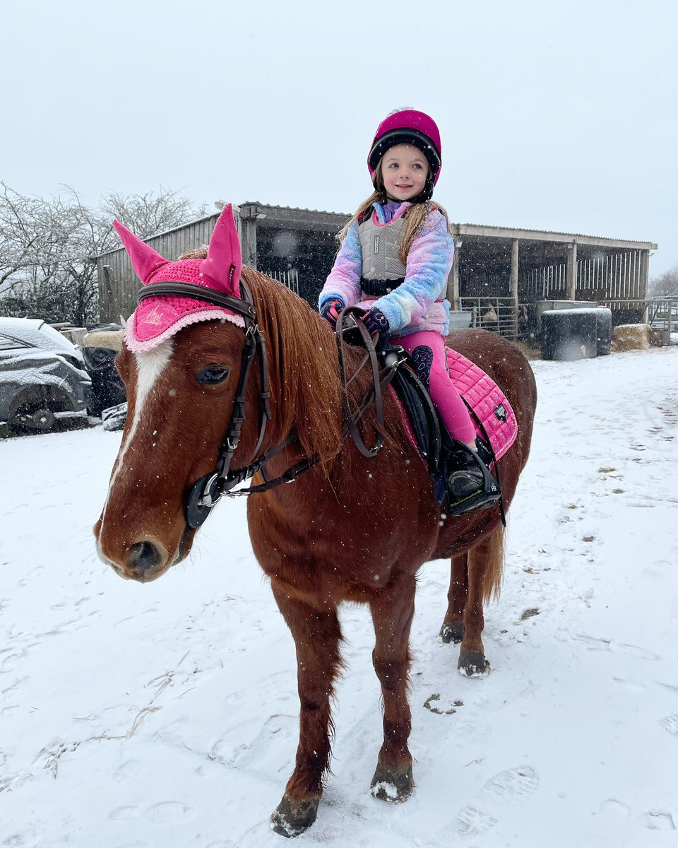 HaytonGina's tweet photo. @MPSClass5 Isla has been enjoying the snow today with her pony 🐴❄️ https://t.co/4Jl7BiJxbB
