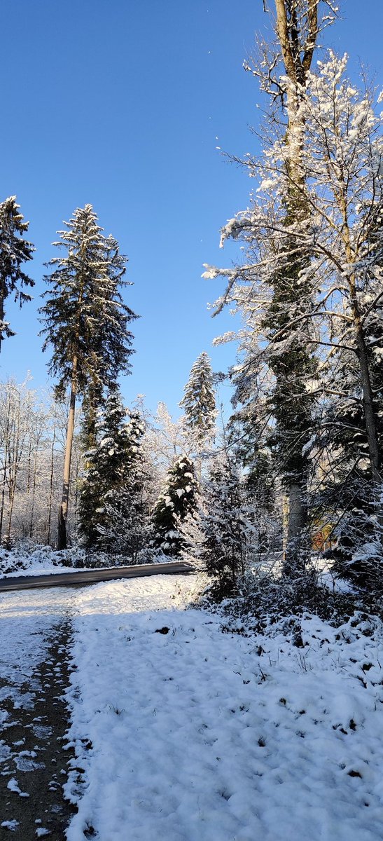 What a great moment to have had my last shift at a #SwissFEL #beamtime @psich_en - winter wonderland making my last impressions really memorable! And #ultrafast #xray data collection is going well, too 😉