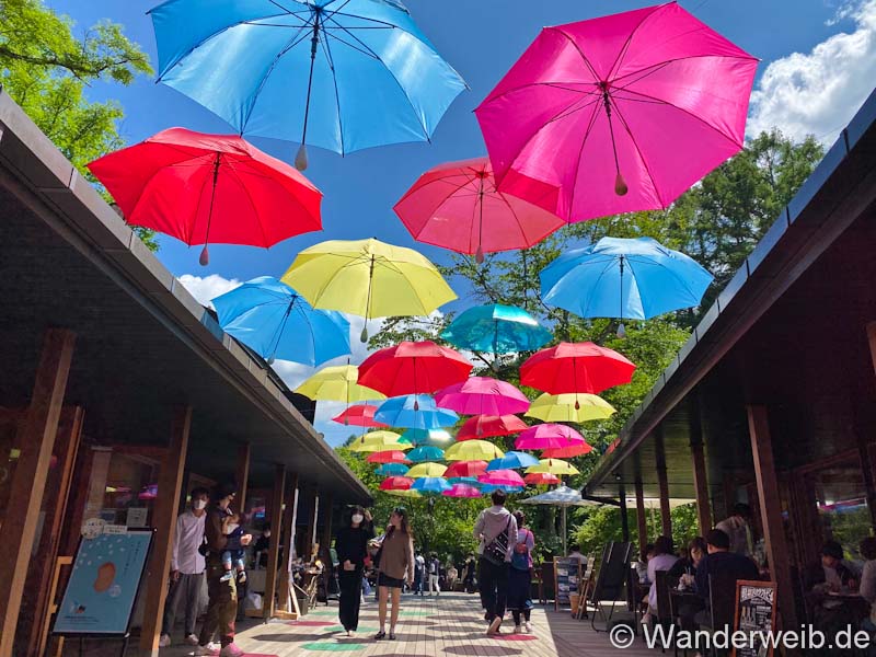 wanderweib's tweet photo. Wer diese Schirme sehen will, sollte Karuizawa besuchen. Was es dort alles zu sehen und zu schlemmen gibt, zeigen wir dir hier:
https://t.co/v7D9r5mUV7
#wanderweib #japanreise #meineJapanreise #nachjapan #japantipps #japanurlaub #japanblog https://t.co/4kWR3WqZZW
