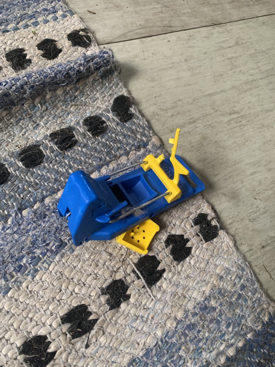 Antingen har jag ”kungfusorkar” i stugan, som har gjort kaos med fällan,eller så är det mitt straff för att hunden inte fick följa med ut.