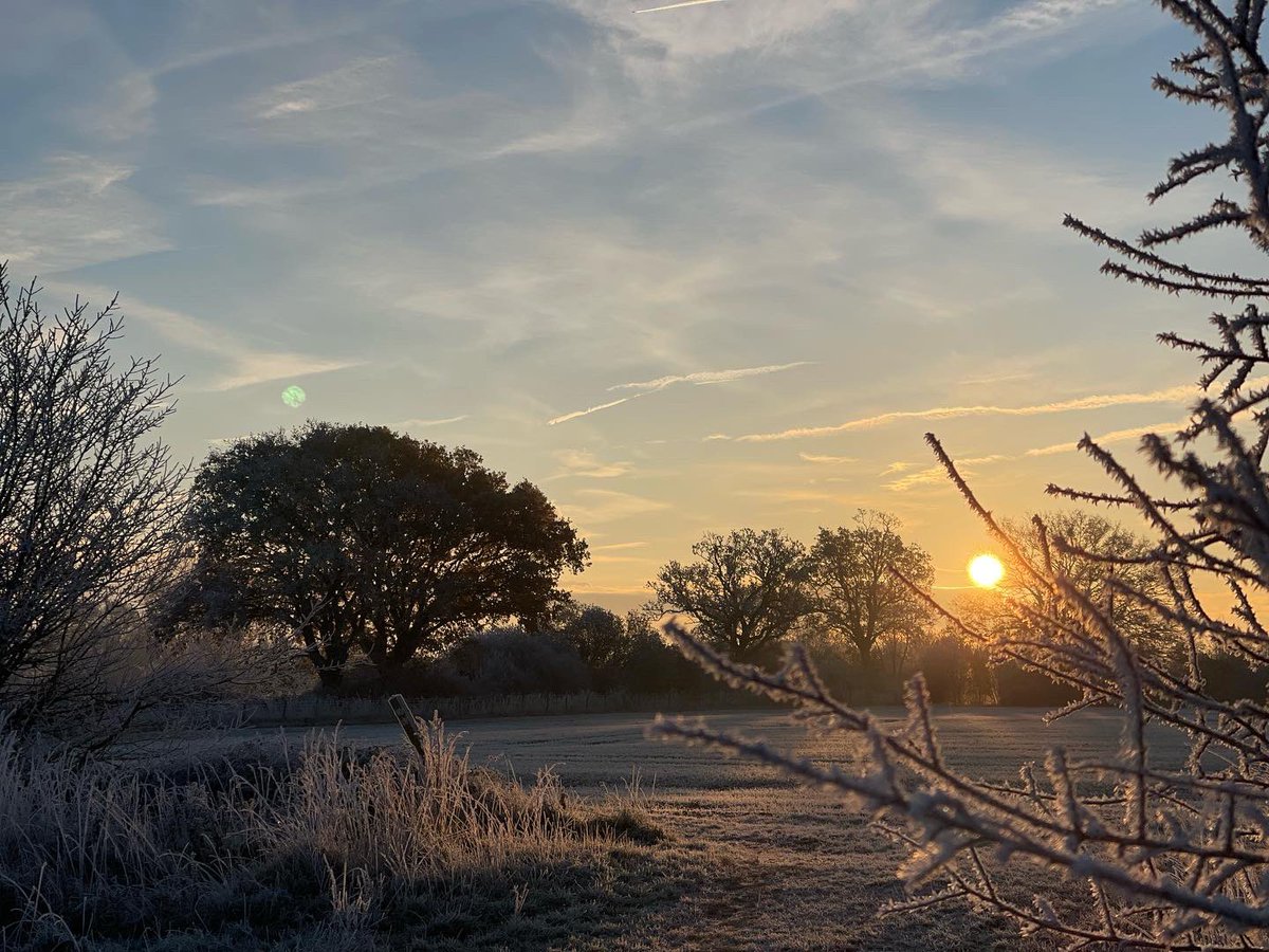mARTa_holton's tweet photo. @bbcweather a beautiful frosty morning in Suffolk https://t.co/cs97Pg5fiz